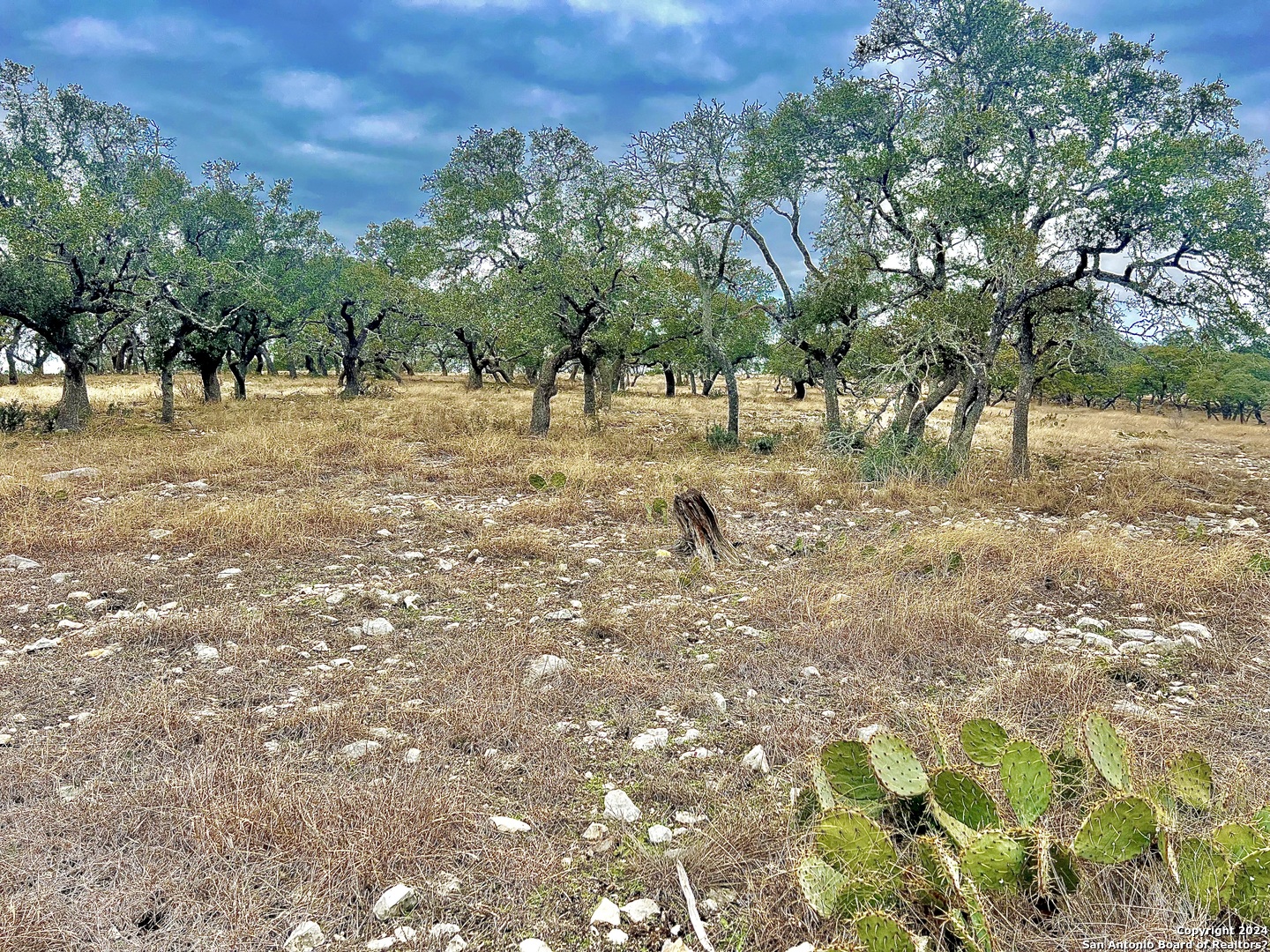 Lot 8 Cattlemans Crossing Kerrville, TX 78028 - Photo 2 of 11 a view of backyard with green space