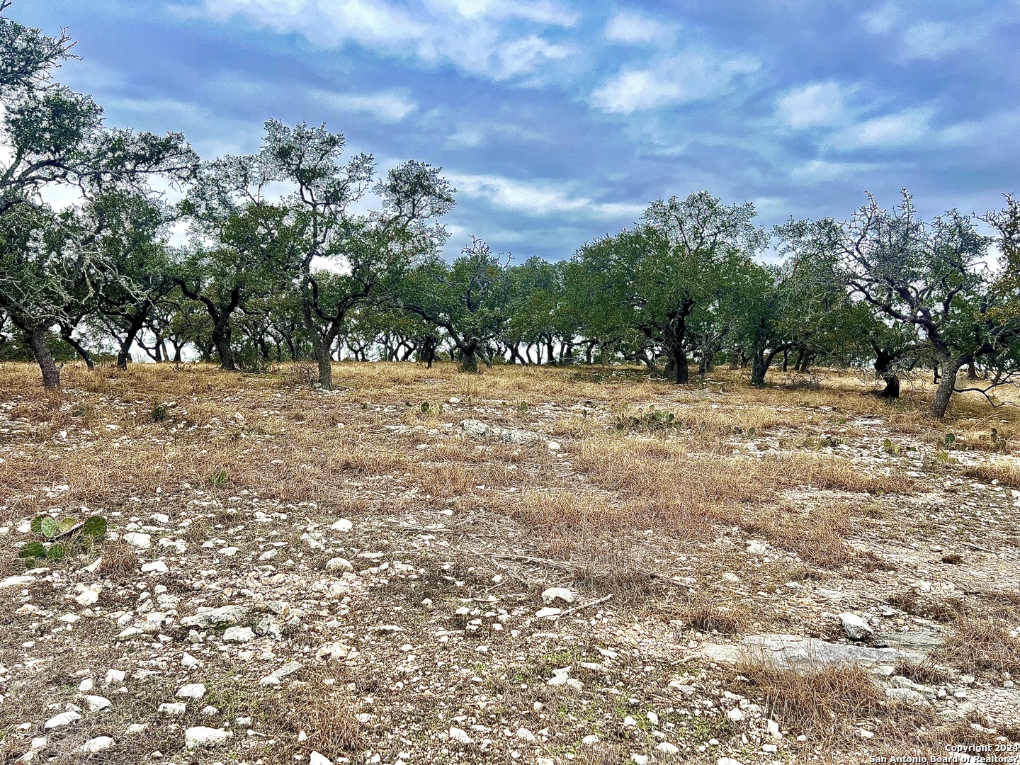 Lot 8 Cattlemans Crossing Kerrville, TX 78028 - Photo 3 of 11 a view of road with trees in the background