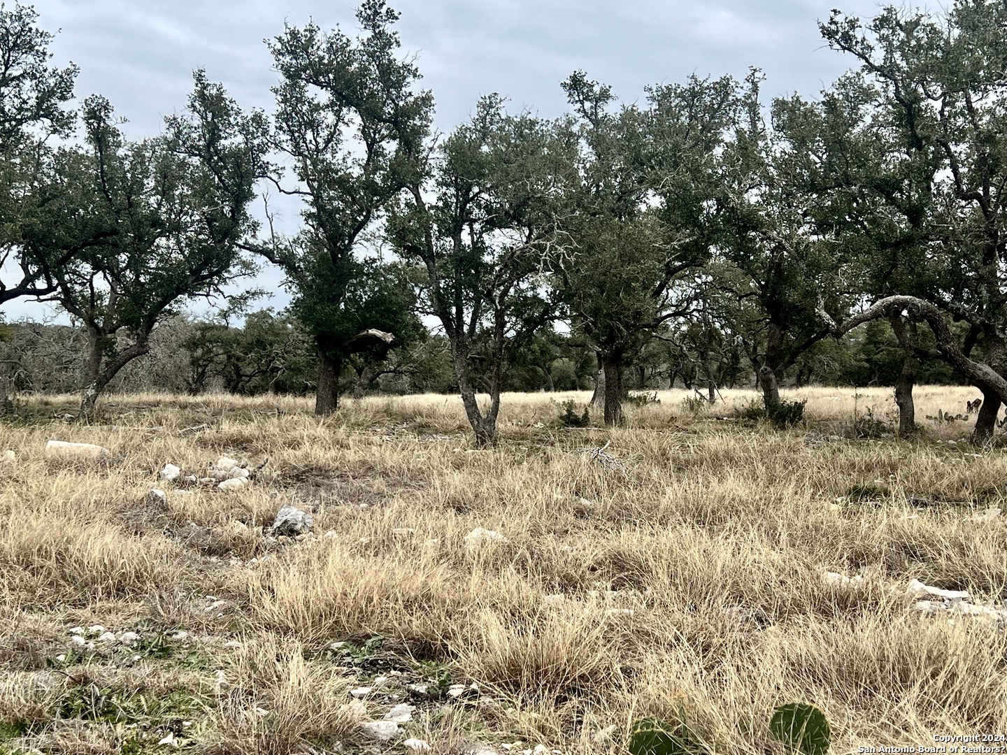 Lot 8 Cattlemans Crossing Kerrville, TX 78028 - Photo 5 of 11 a view of outdoor space with trees