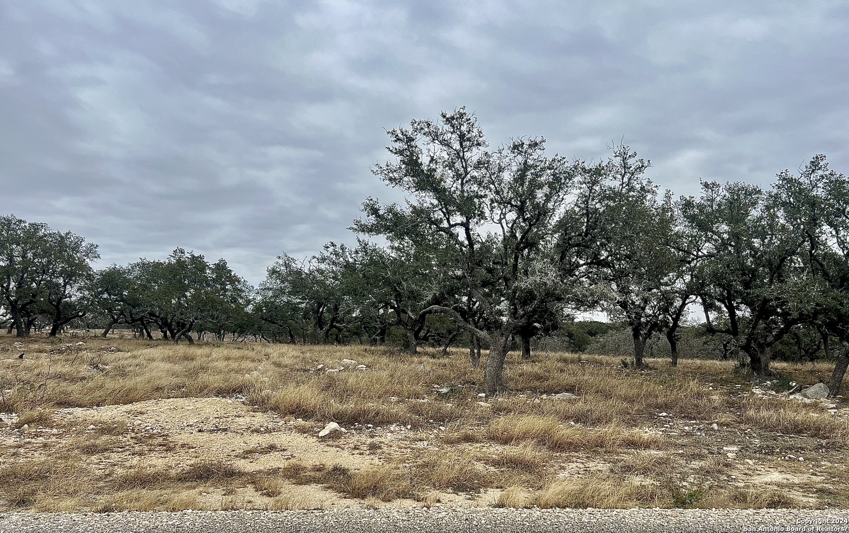 Lot 8 Cattlemans Crossing Kerrville, TX 78028 - Photo 6 of 11 a view of a yard