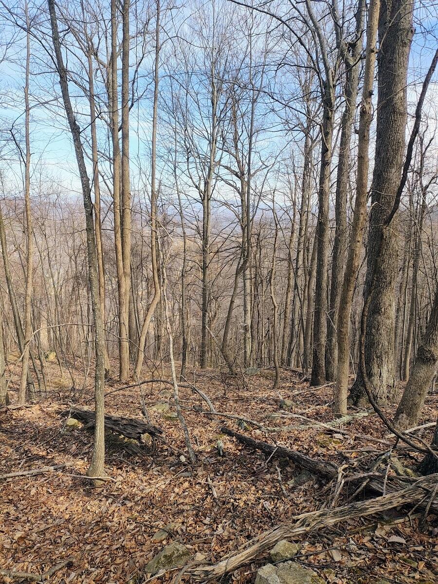 0 Bent Mountain Road Bent Mountain, VA 24059 - Photo 5 of 21 IMG_20250226_122633514_AE