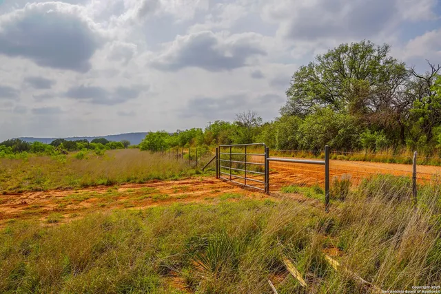 a view of a yard with an outdoor space