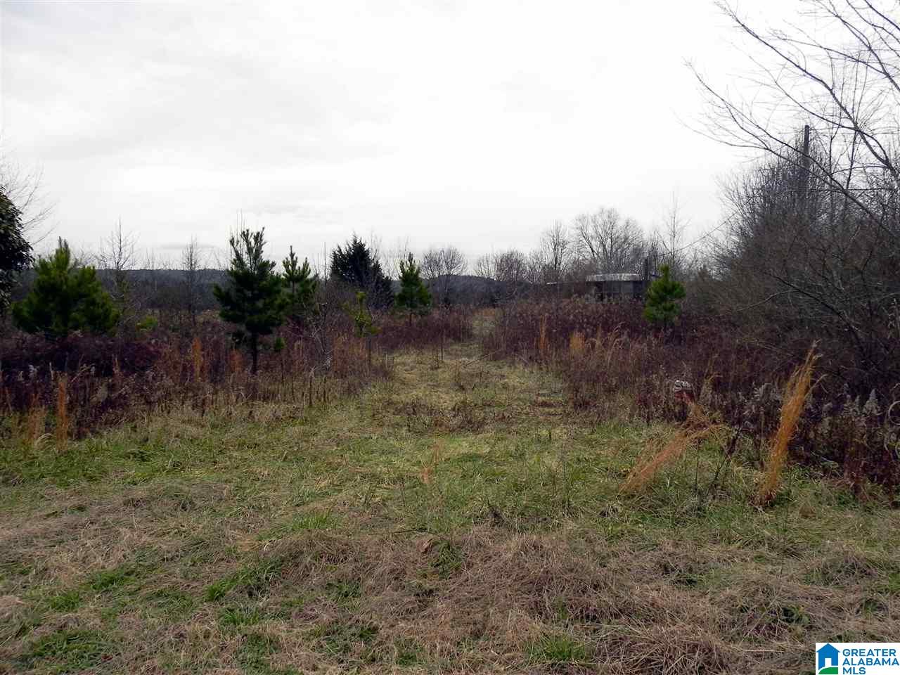 249 Field Street Anniston, AL 36207 - Photo 7 of 13