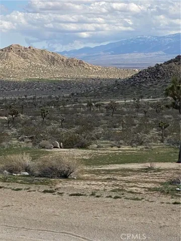 a view of a city with ocean