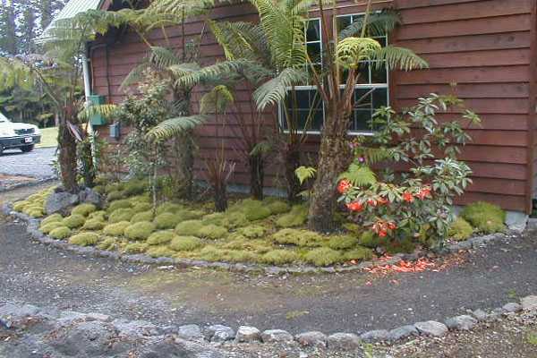 19-4343 Wright Road Volcano, HI 96785 - Photo 11 of 11 Gallery Image 11