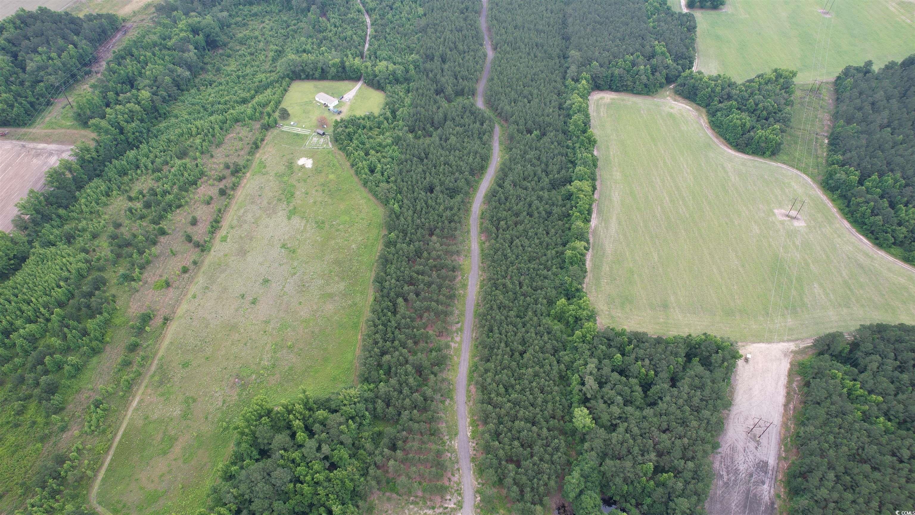 Tbd South Center Road Darlington, SC 29532 - Photo 4 of 6 Gallery Image 4