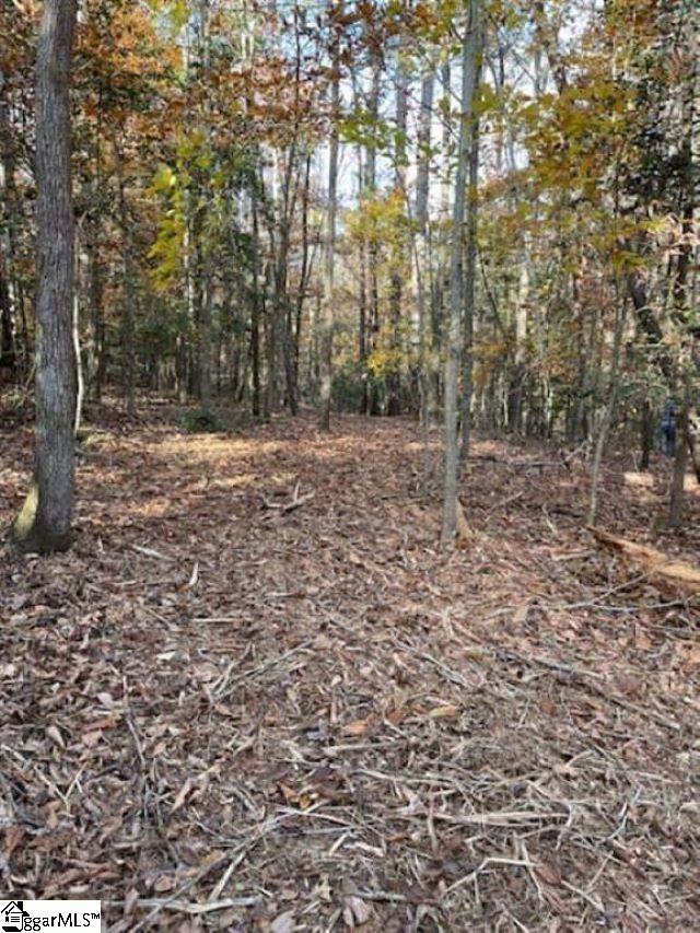 0 Catalan Court, Unit LOT 3 PENNINGTON FARMS Fountain Inn, SC 29644 - Photo 13 of 14