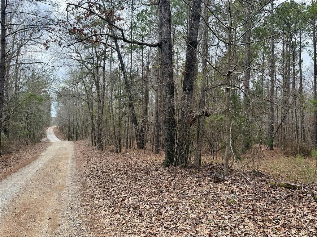 0 White Owl Road Seale, AL 36875 - Photo 1 of 5 Gallery Image 1