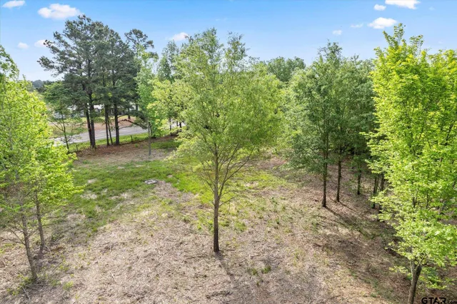 a view of a garden with plants