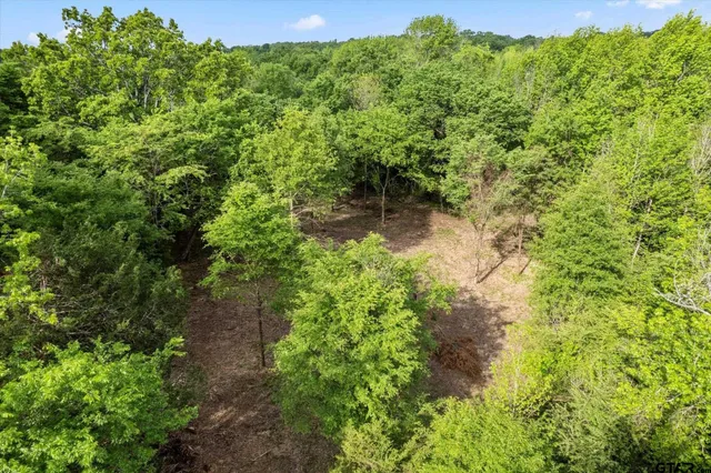 a view of a yard with an outdoor space