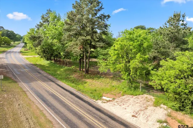 a view of a yard with plants and a bench