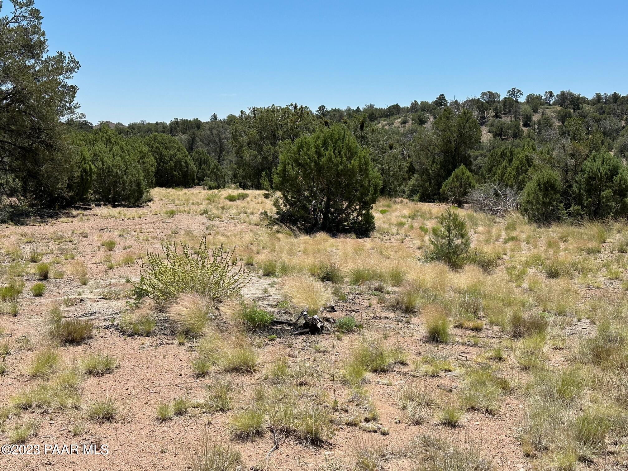 0 West Sarah Road Prescott, AZ 86305 - Photo 8 of 9 Open area