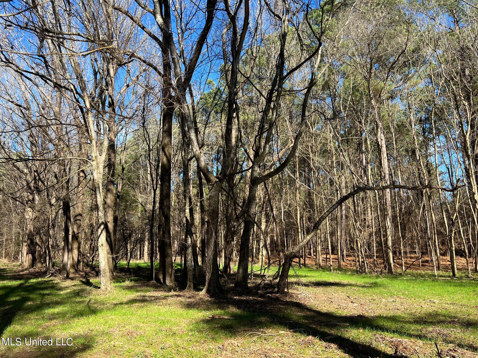 Spring Creek Flora, MS 39071 - Photo 11 of 14 Lot7-11