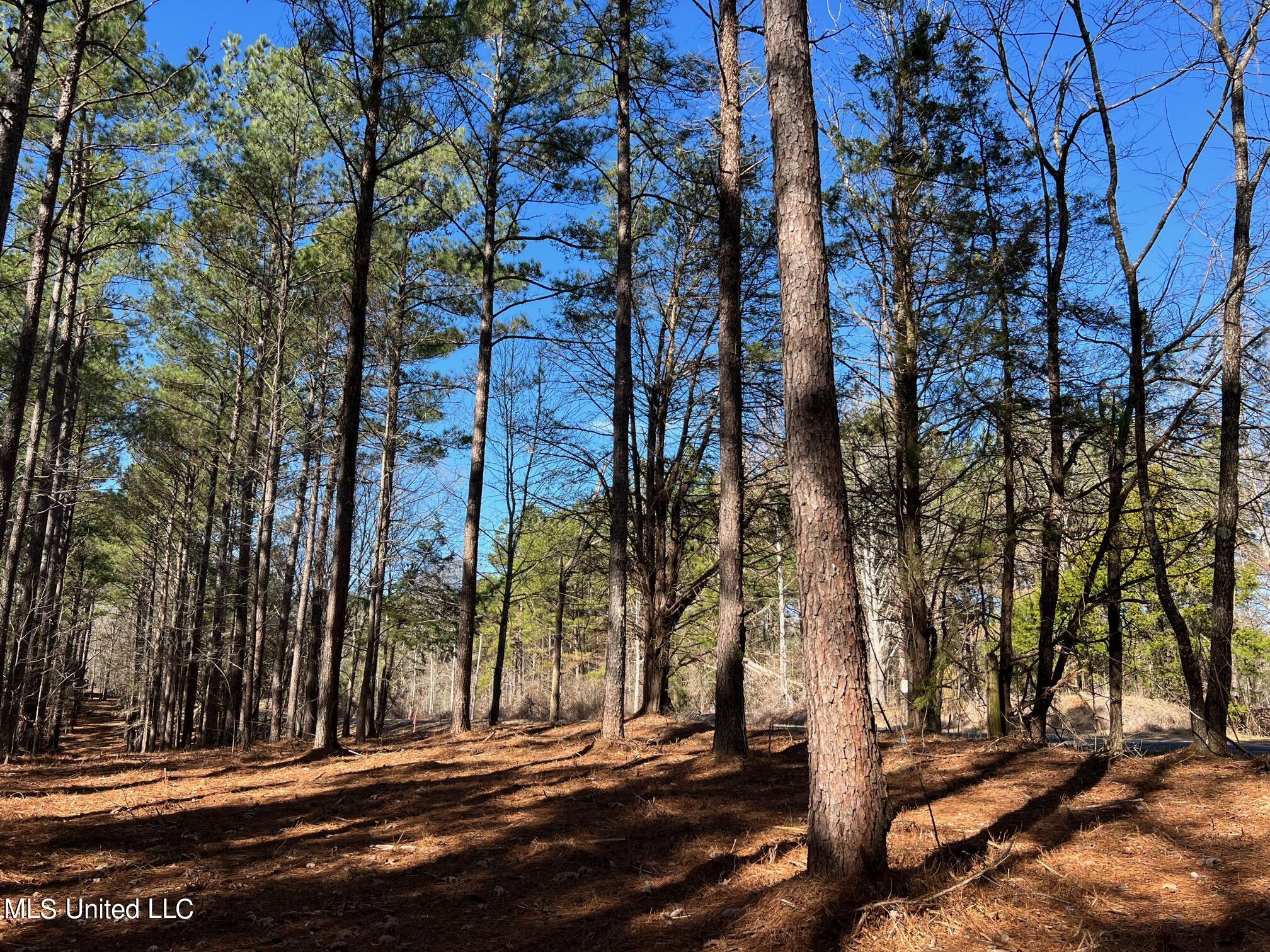 Spring Creek Flora, MS 39071 - Photo 3 of 14 Lot7-2