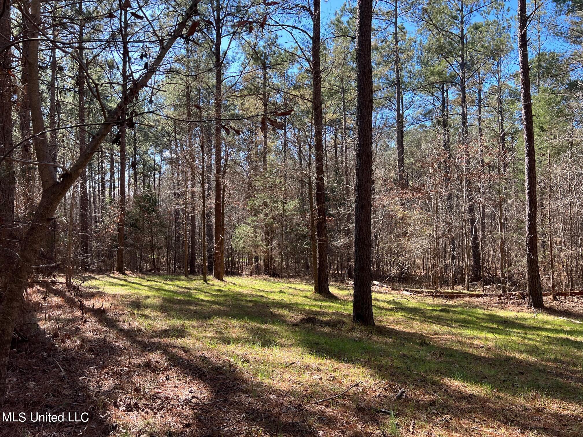 Spring Creek Flora, MS 39071 - Photo 4 of 14 Lot7-3