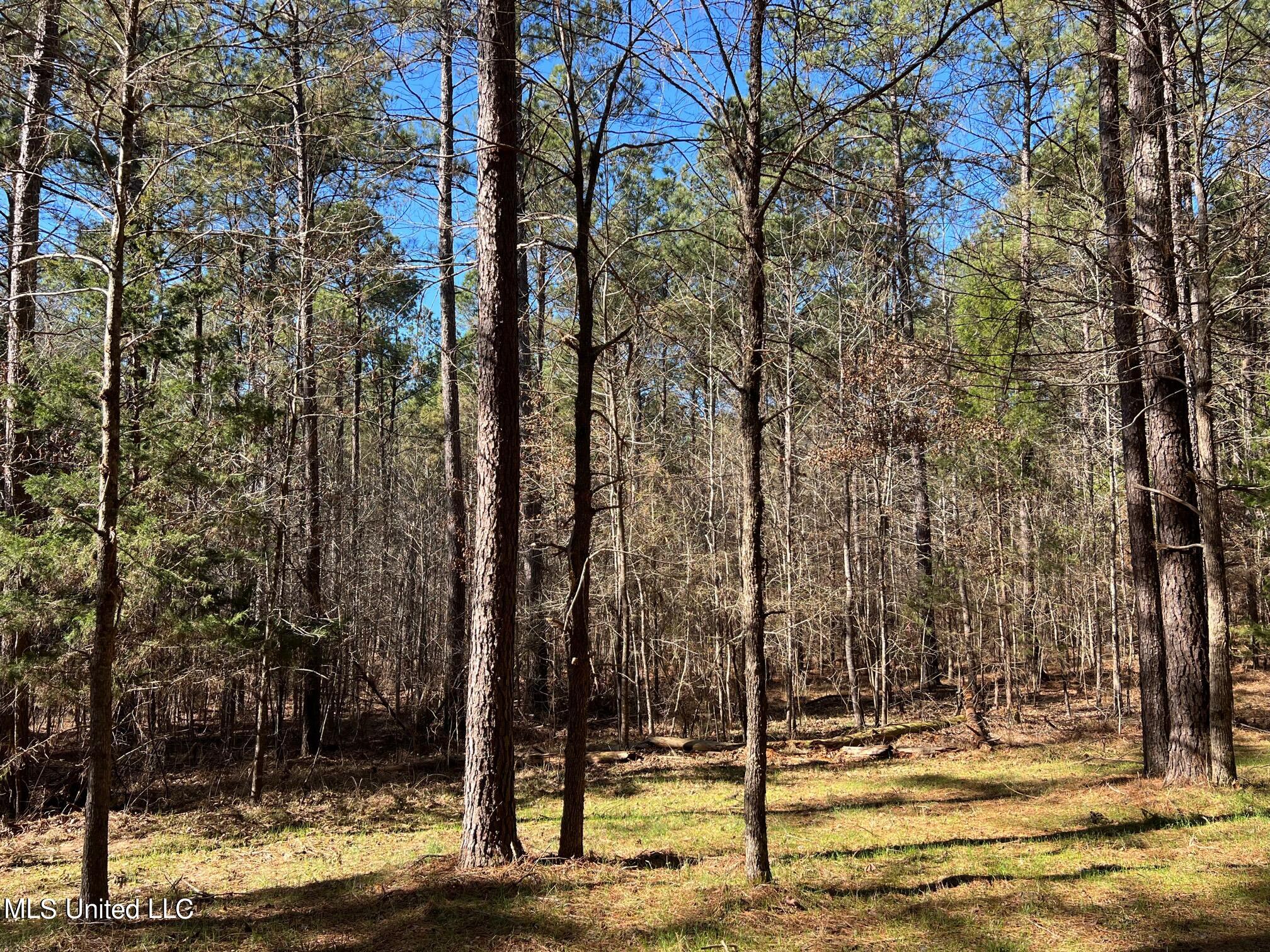 Spring Creek Flora, MS 39071 - Photo 6 of 14 Lot7-5