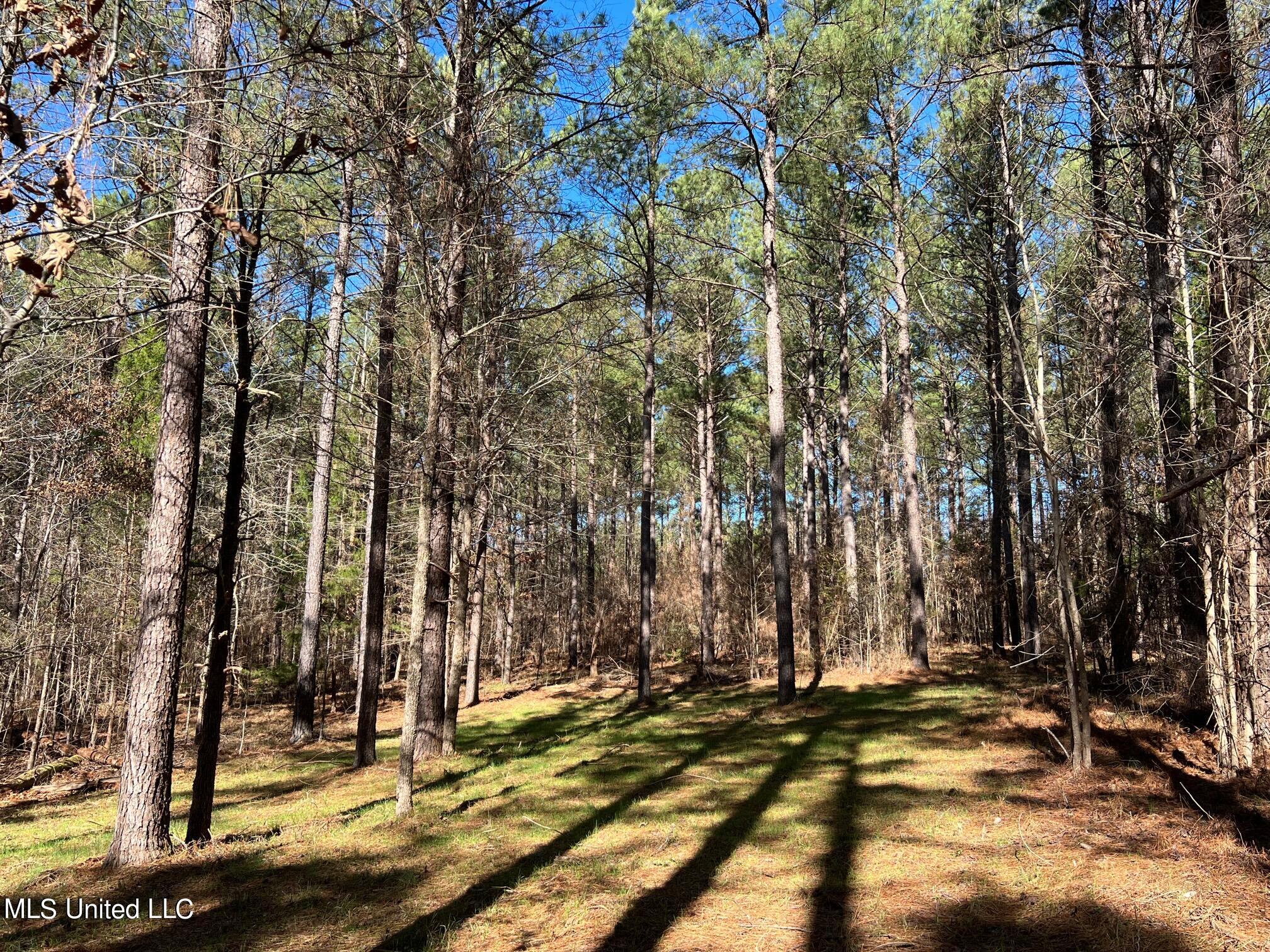 Spring Creek Flora, MS 39071 - Photo 7 of 14 Lot7-6