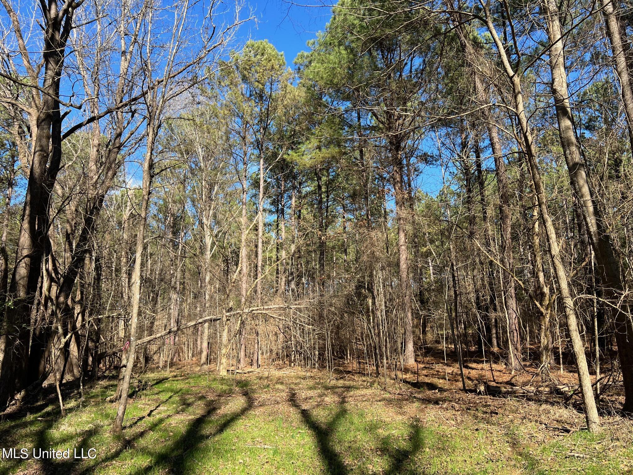 Spring Creek Flora, MS 39071 - Photo 8 of 14 Lot7-8