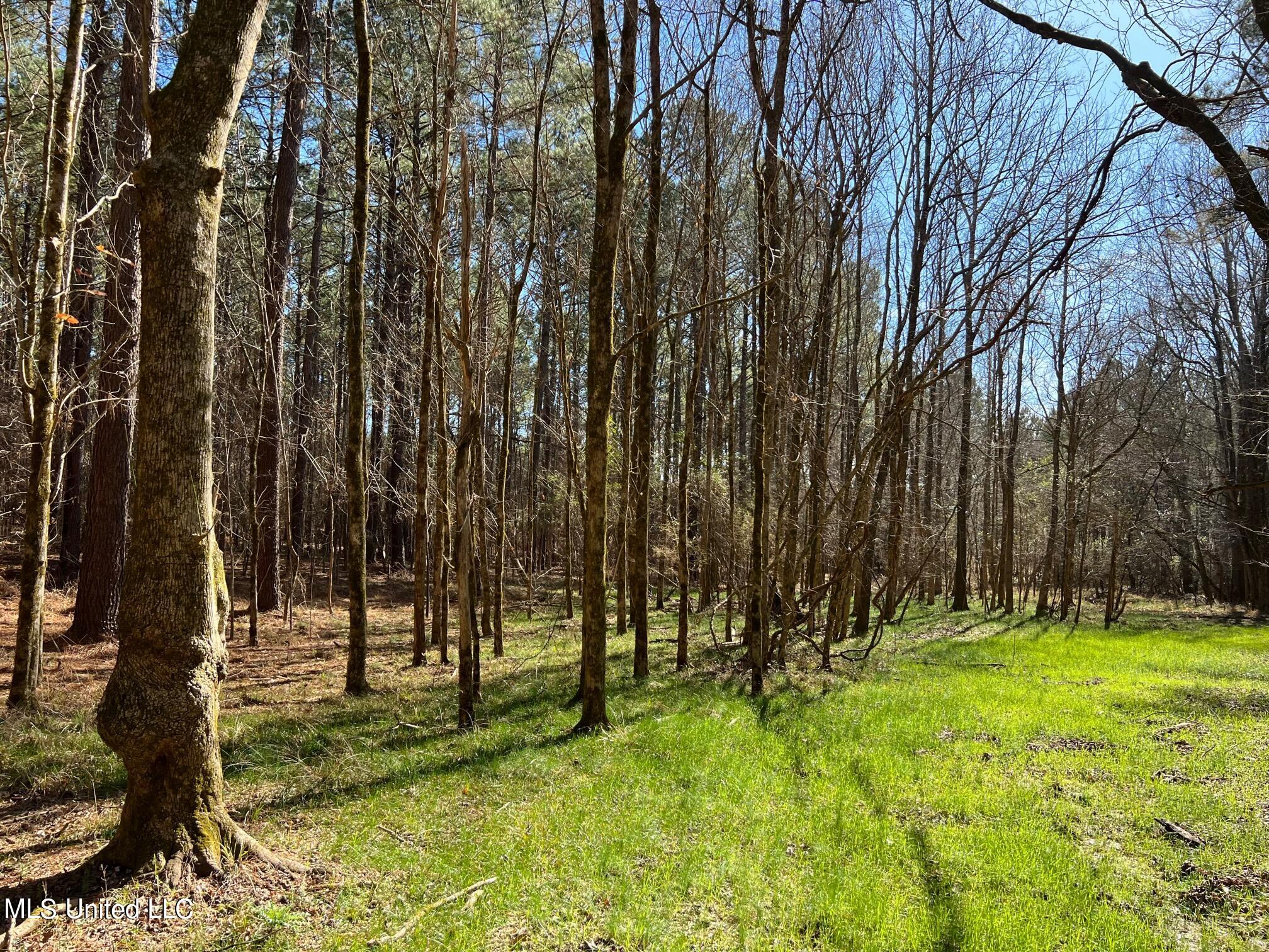 Spring Creek Flora, MS 39071 - Photo 9 of 14 Lot7-9