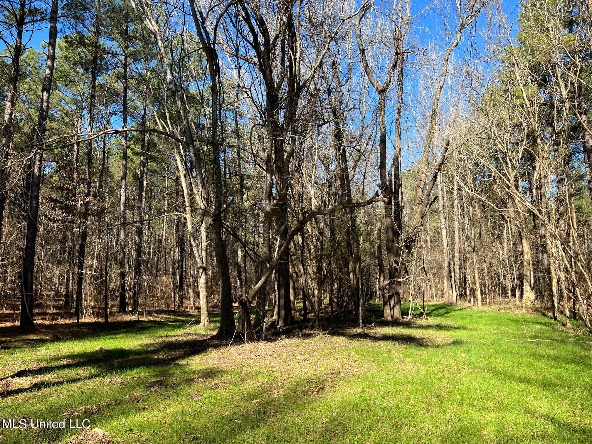 Spring Creek Flora, MS 39071 - Photo 10 of 14 Lot7-10