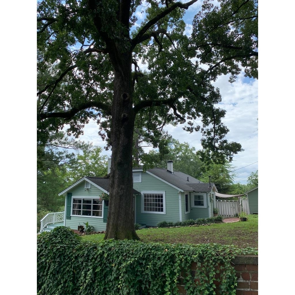 7 Lytle Avenue Southwest Rome, GA 30161 - Photo 1 of 1 a front view of a house with a yard and trees