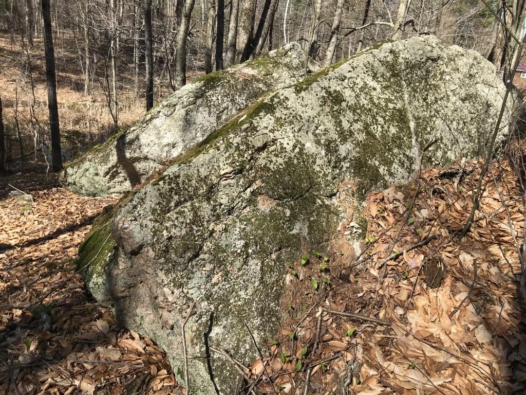 128 Starbird Corner Road Bowdoin, ME 04287 - Photo 11 of 30 UNADJUSTEDNONRAW_thumb_4262