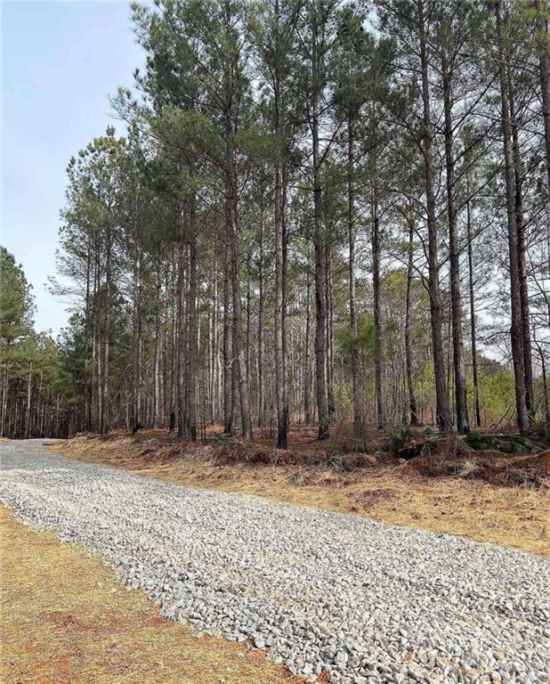 Lot 4 Jaxon Path Dallas, GA 30157 - Photo 3 of 3