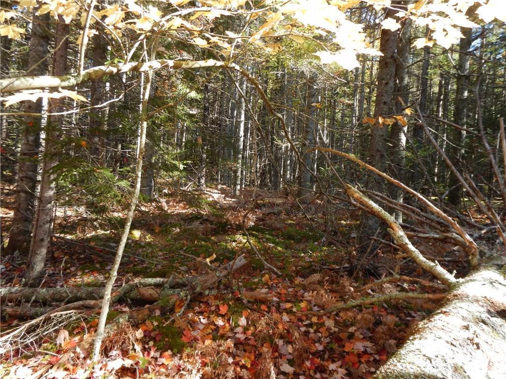 Lot 38 Grand Marsh Bay Road Corea, ME 04624 - Photo 3 of 17 Photo