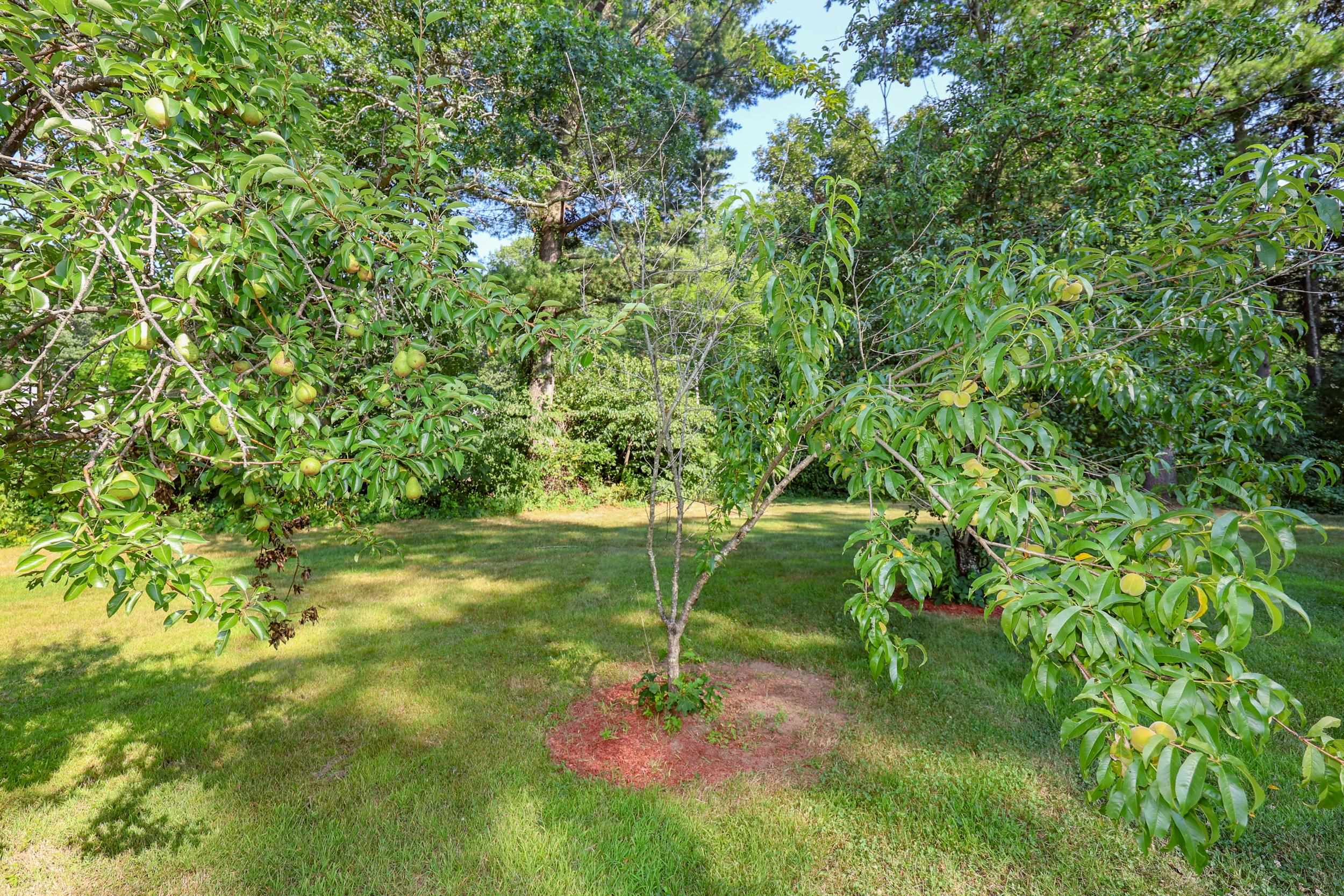 1 Gumpas Hill Road Pelham, NH 03076 - Photo 52 of 56 Gallery Image 52