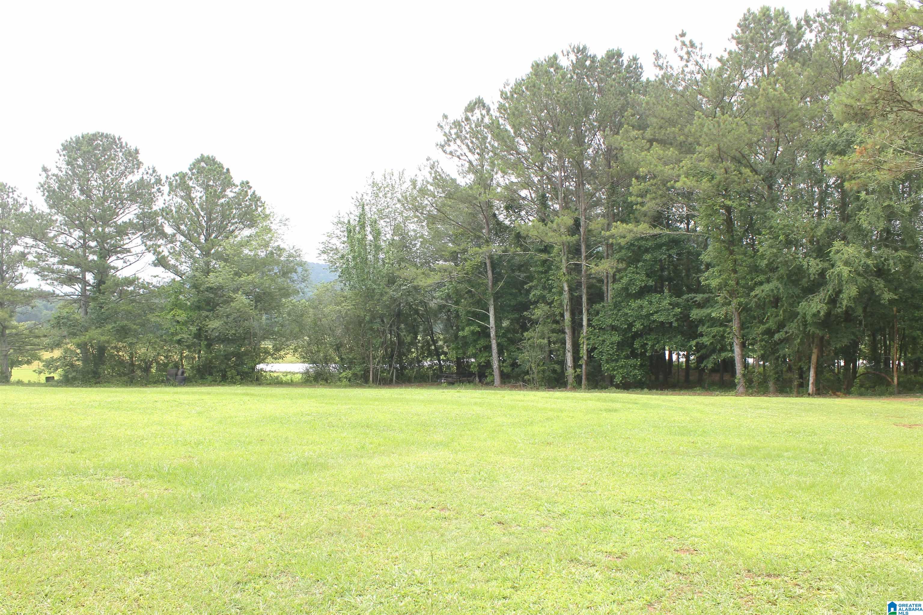 840 Chosea Springs Road Anniston, AL 36207 - Photo 46 of 56 Gallery Image 46