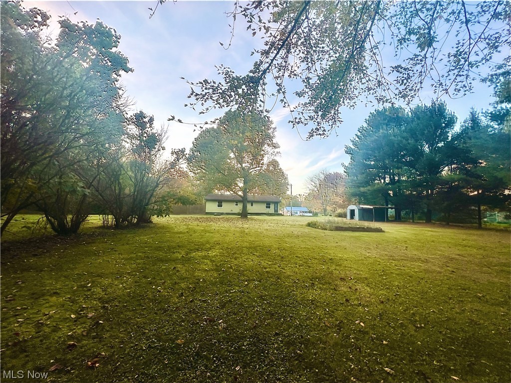 3122 Bedrock Road Northwest Dellroy, OH 44620 - Photo 4 of 23 View of yard