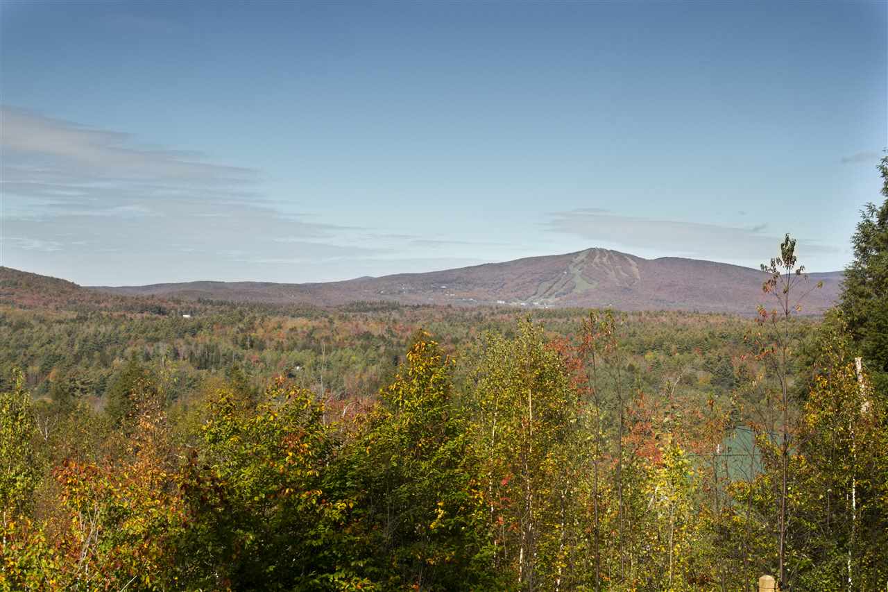 Loop Road, Unit 2/3/4 Winhall, VT 05340 - Photo 1 of 10 Gallery Image 1
