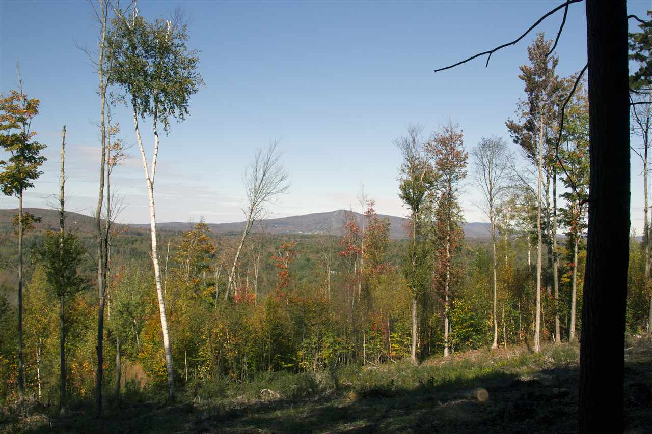 Loop Road, Unit 2/3/4 Winhall, VT 05340 - Photo 4 of 10 Gallery Image 4