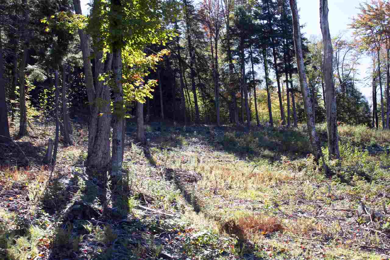 Loop Road, Unit 2/3/4 Winhall, VT 05340 - Photo 6 of 10 Gallery Image 6