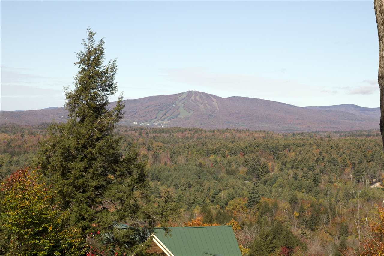 Loop Road, Unit 2/3/4 Winhall, VT 05340 - Photo 8 of 10 Gallery Image 8
