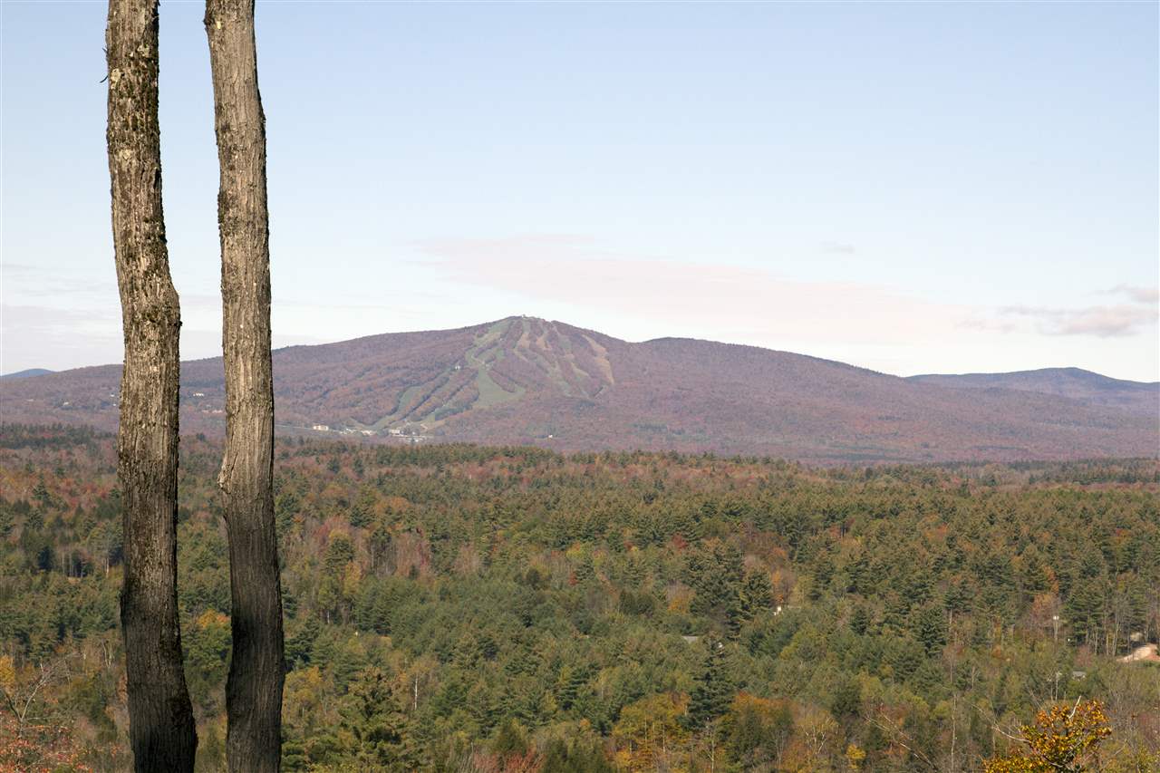 Loop Road, Unit 2/3/4 Winhall, VT 05340 - Photo 9 of 10 Gallery Image 9