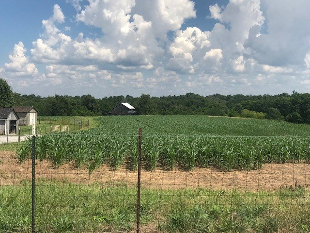 3358 Dover Minerva Road Dover, KY 41034 - Photo 39 of 41 Gallery Image 39