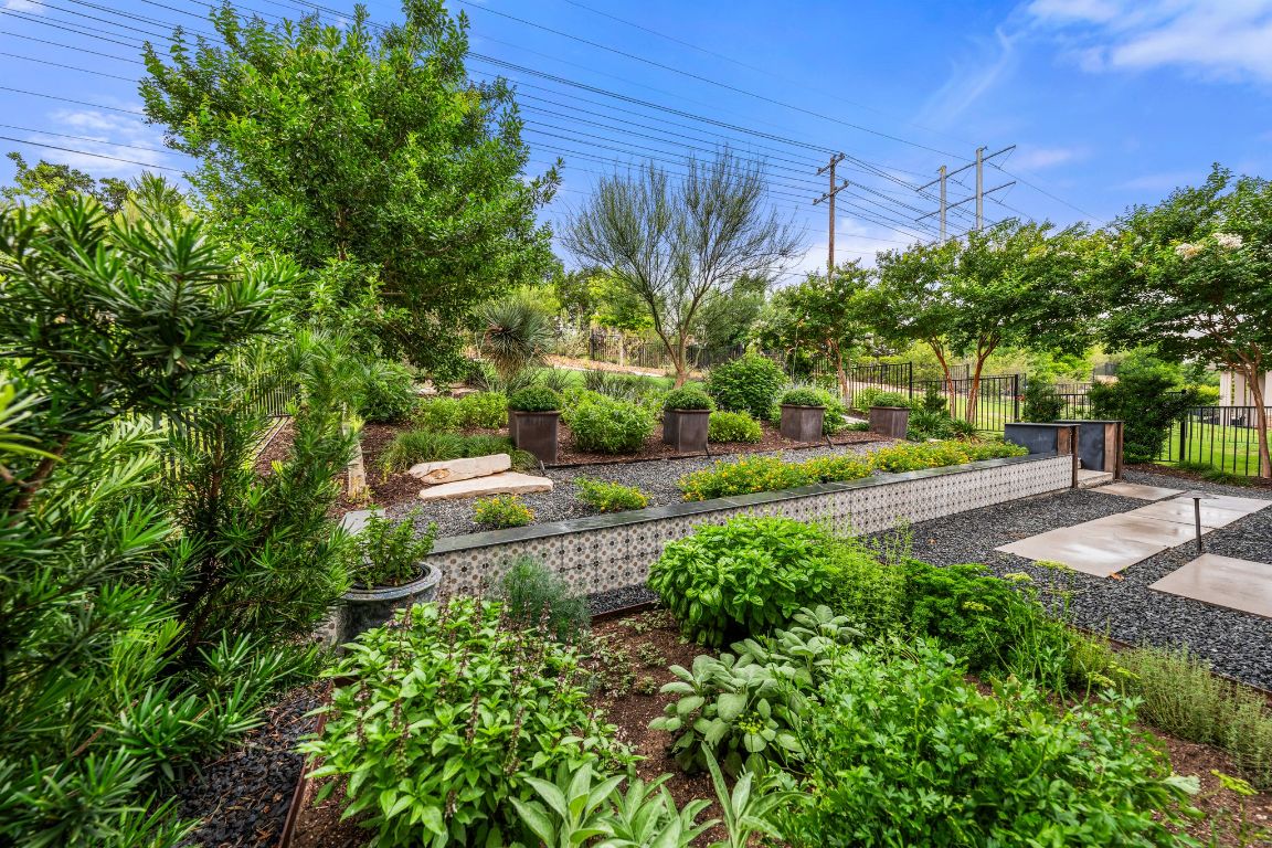 121 Cartwheel Bend, Unit 42 Austin, TX 78738 - Photo 1 of 1 a view of a yard with plants and large trees