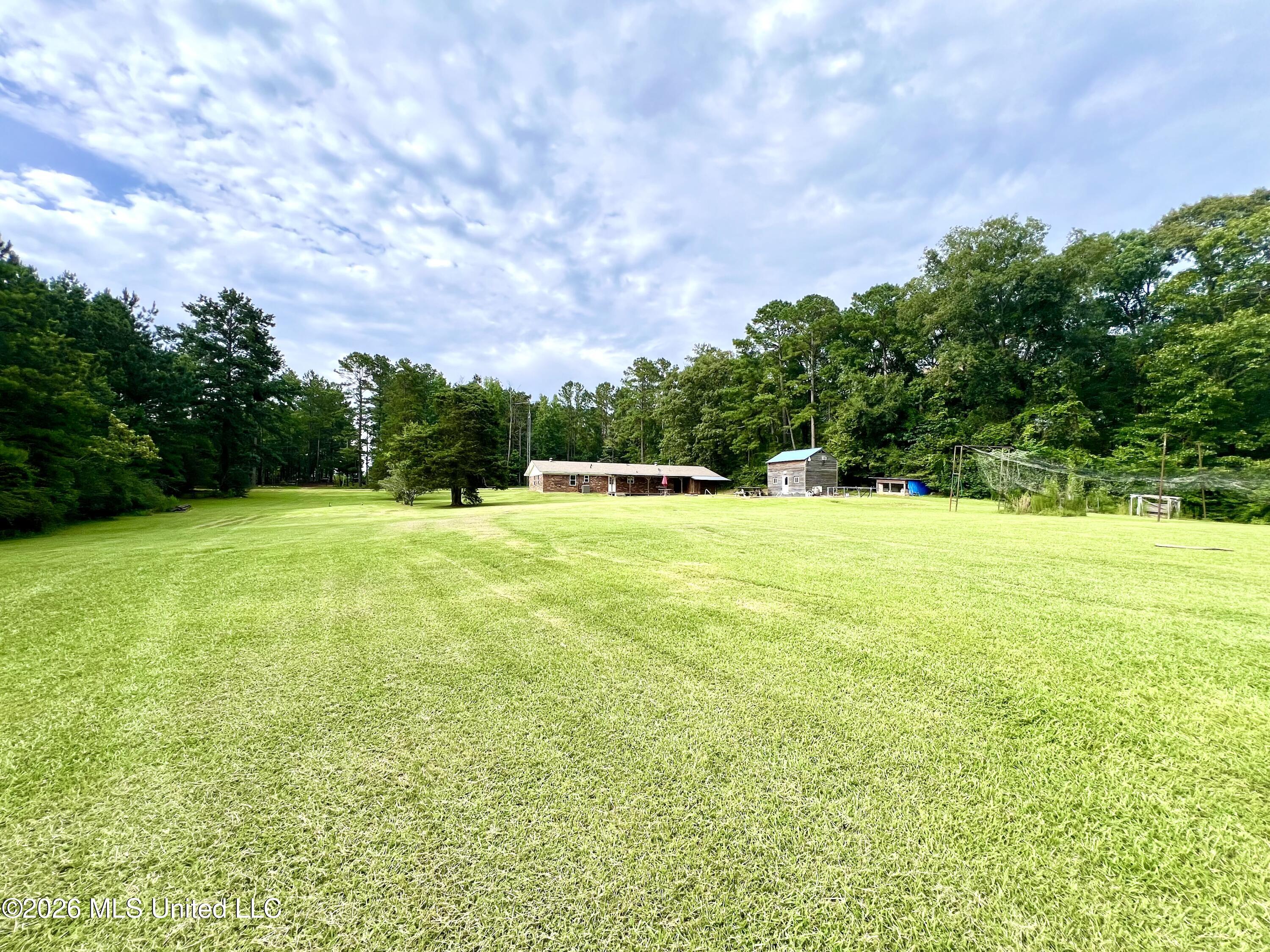 399 Freeman Road Southwest Summit, MS 39666 - Photo 10 of 14 IMG_6608