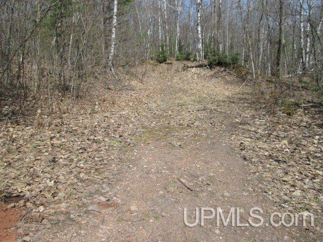 Tbd Golf Course Road Calumet, MI 49913 - Photo 3 of 21