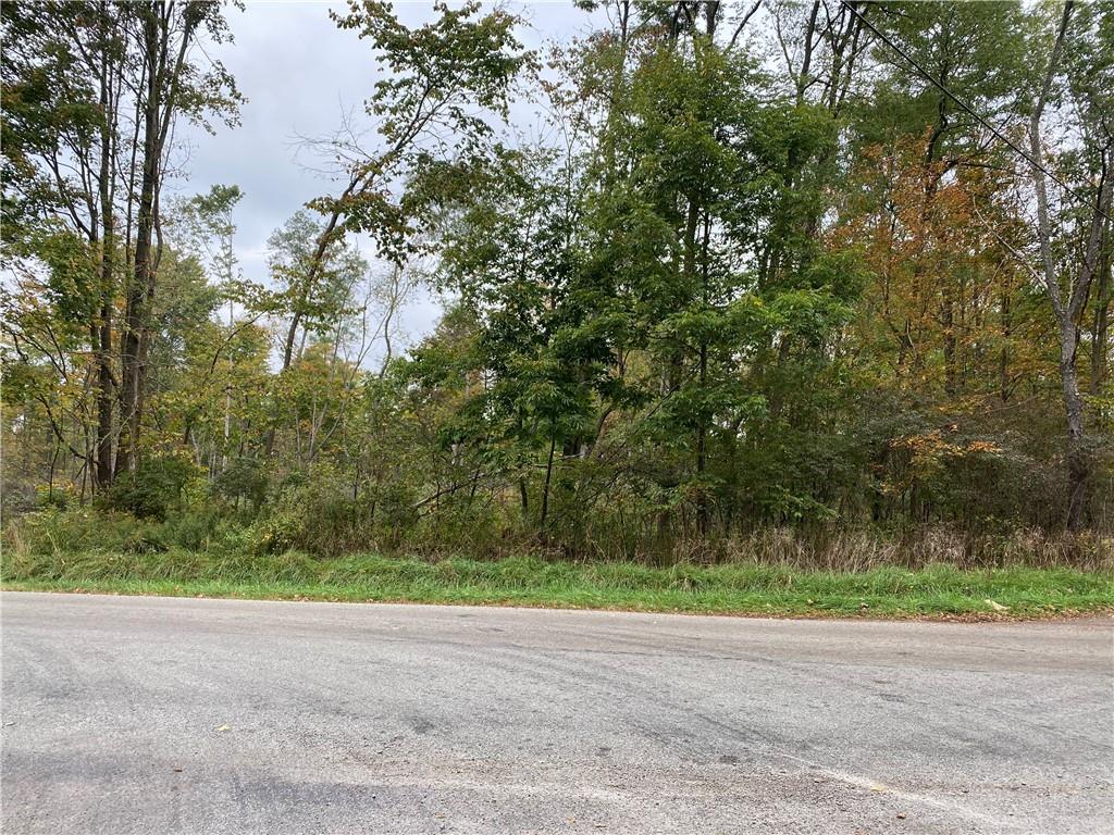 0 County Line And Deer Creek Roads Cochranton, PA 16314 - Photo 1 of 4 Gallery Image 1