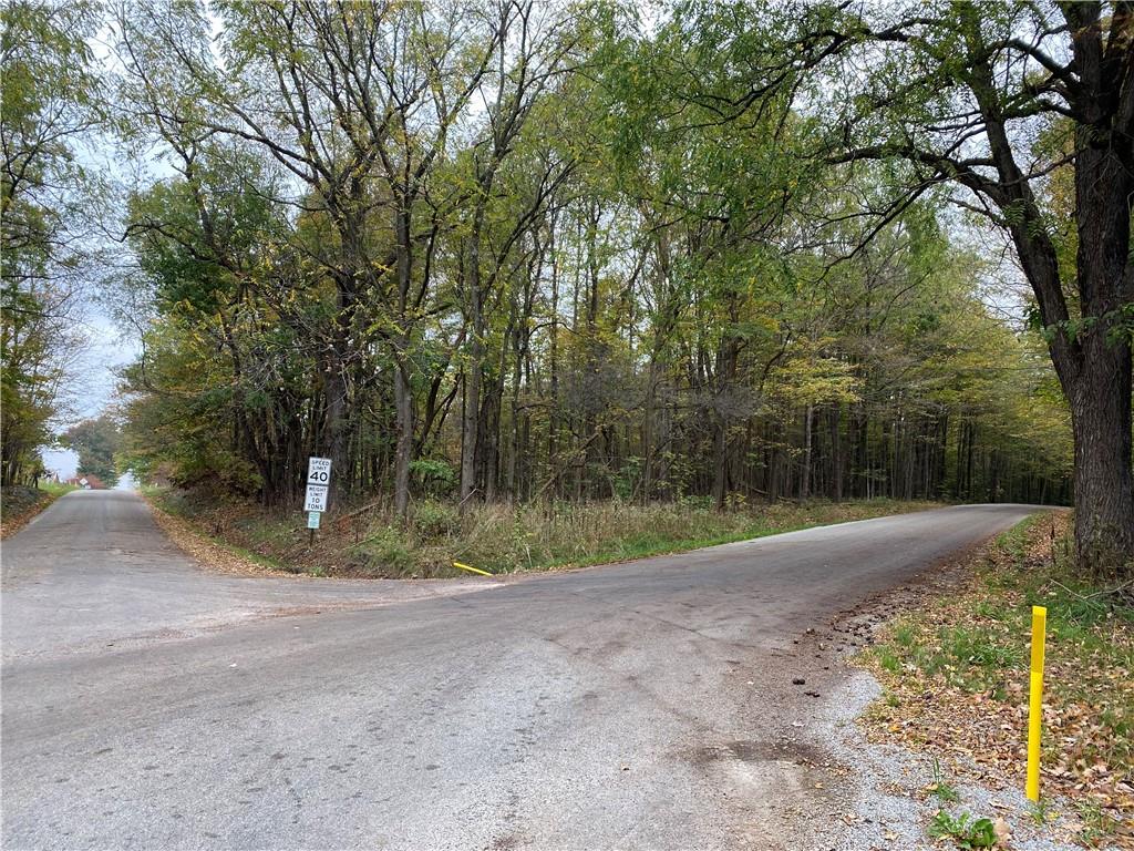 0 County Line And Deer Creek Roads Cochranton, PA 16314 - Photo 2 of 4 Gallery Image 2