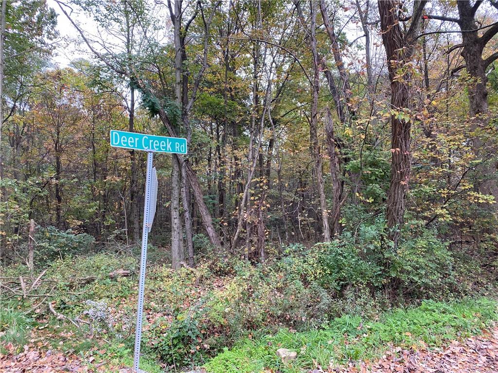 0 County Line And Deer Creek Roads Cochranton, PA 16314 - Photo 3 of 4 Gallery Image 3