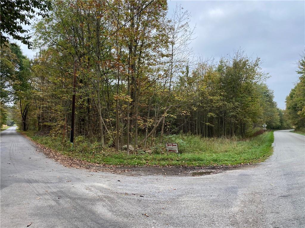 0 County Line And Deer Creek Roads Cochranton, PA 16314 - Photo 4 of 4 Gallery Image 4