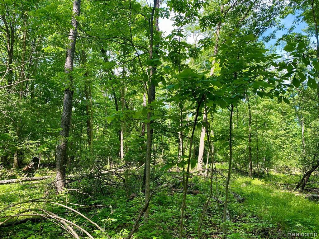 4 South Rushton Road South Lyon, MI 48178 - Photo 16 of 19