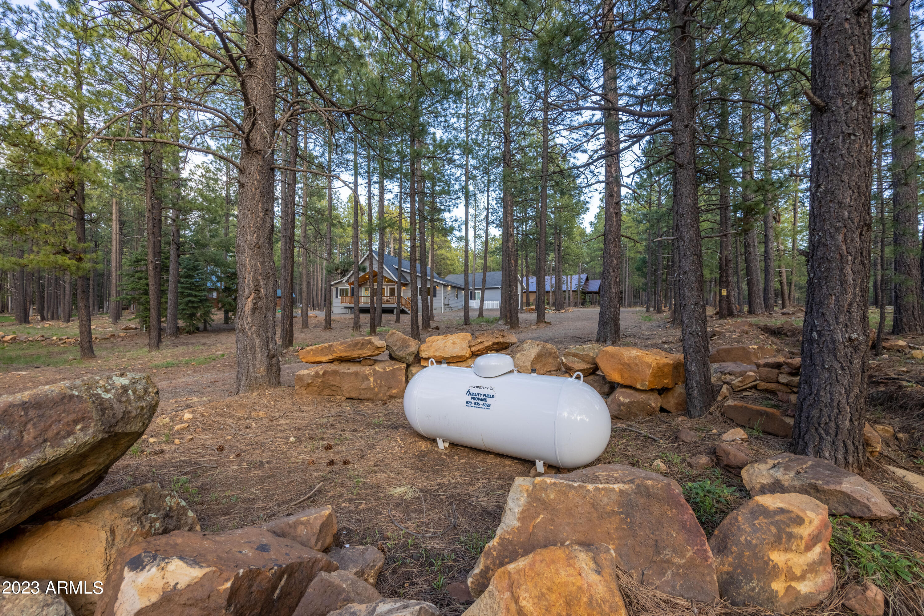 2772 Larson Loop Forest Lakes, AZ 85931 - Photo 64 of 65 a backyard of a house with table and chairs