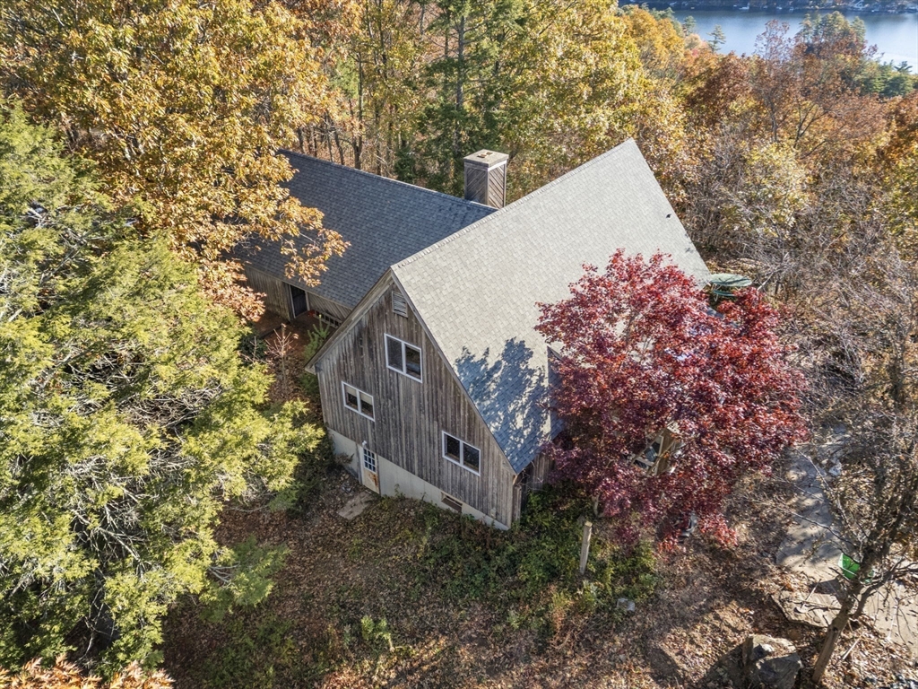 274 Brookfield Road Sturbridge, MA 01518 - Photo 27 of 30 a view of a dry yard with large trees
