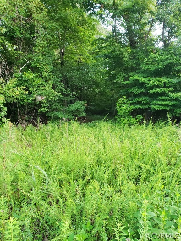 0 Pinetree Road Center Cross, VA 22437 - Photo 1 of 4 Gallery Image 1