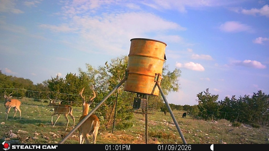3420 Northeast County Road Sonora, TX 76950 - Photo 4 of 94 Photo 4