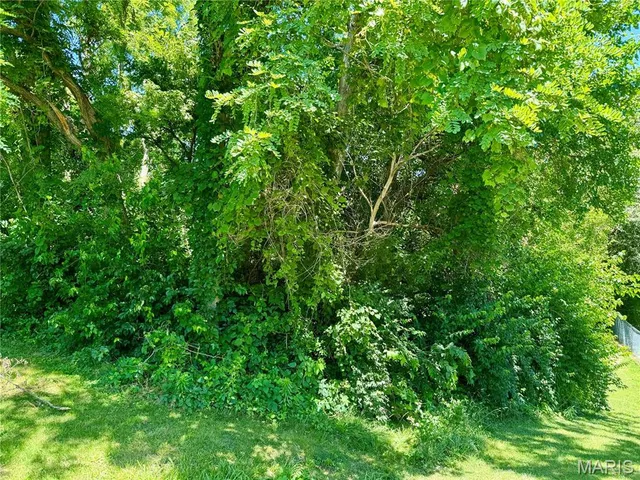 $20,000 | 0 State Route 159 South, Glen Carbon, IL 62034